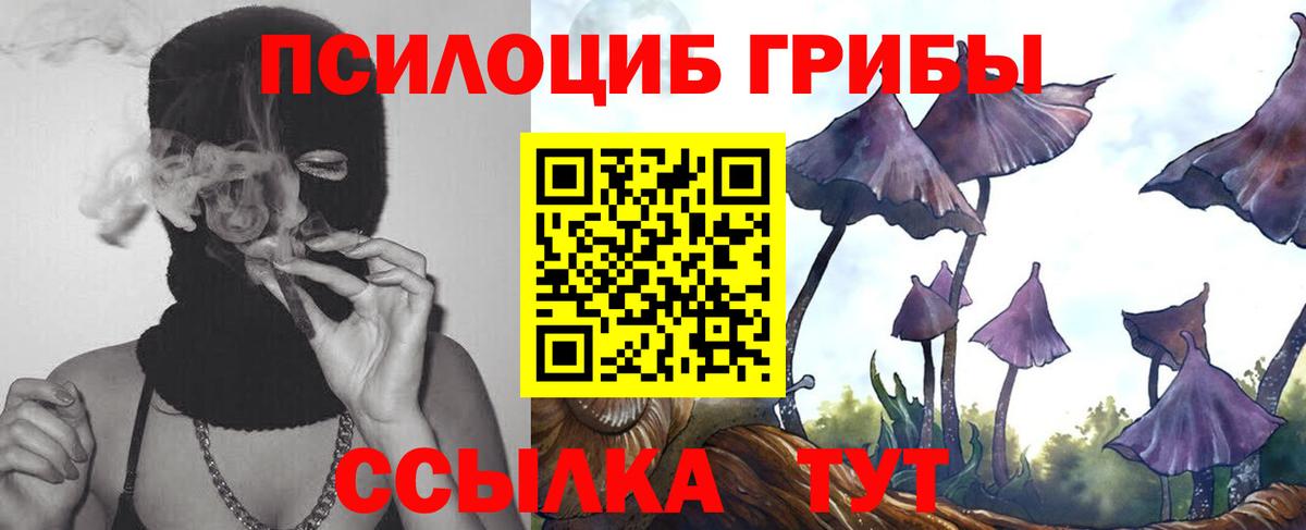 Изобильный  Псилоцибиновые грибы Cubensis  Вход с VPN 